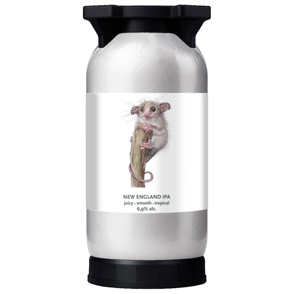 Pygmy Possum