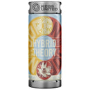 Hybrid Theory (w/ Dois Corvos)