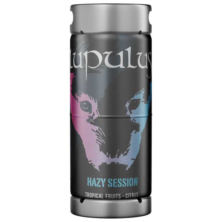 Hazy Session
